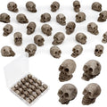 Mini Resin Skull Heads for Halloween Crafts & Decorations - 24 Pack