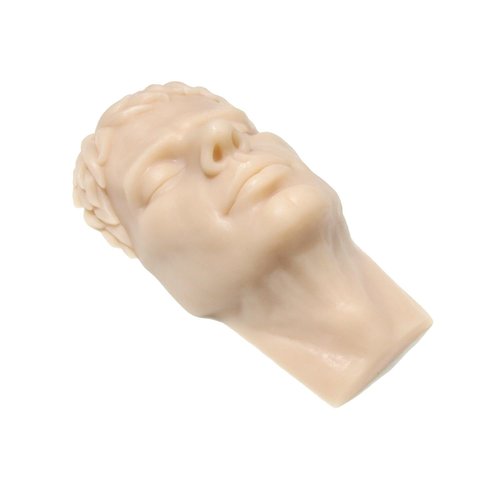 JUYO VONSAN Injection Training Mannequin Face Silicone Head Facial Injection Face Nose Model （Not TPE） for Piercing Tattoo Practice Medical Student (Woman Head)