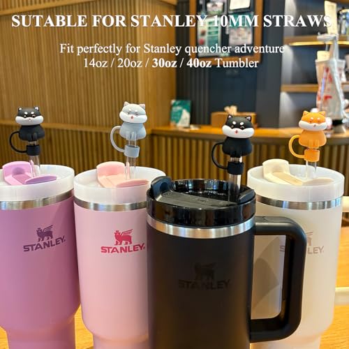 3D Cat Straw Covers for Stanley Cup - Cats Variation