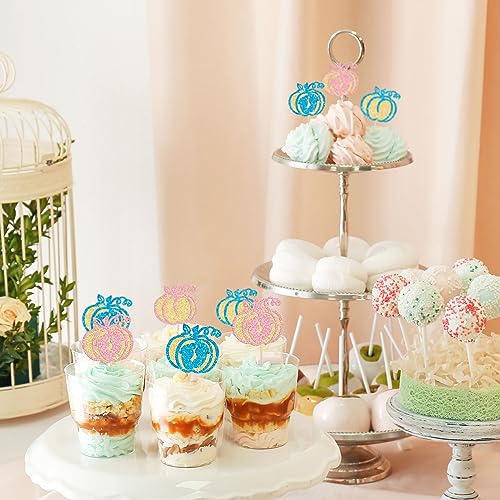 Blue Pink Pumpkin Cupcake Toppers 24Pcs Baby Shower Halloween Birthday Decor - Variation of F