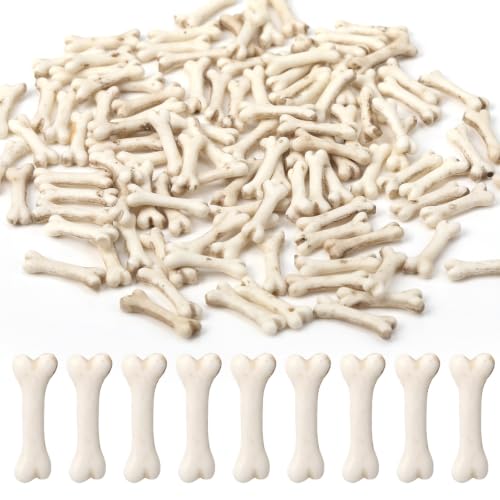 Halloween Mini Resin Skeleton Bones Figurines Set - 100 Pieces for Crafts & Decorations (Variation: Skeleton Bones)