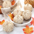 Fall Woven Rattan Pumpkin Decor Set - Handcrafted Corn Husk Craft, 4 Inch