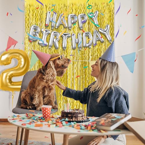 Gold Fringe Curtain Backdrop 2 Pack - Sparkling Tinsel Party Decorations