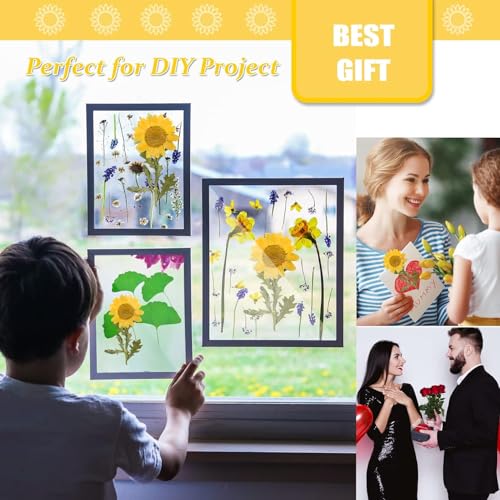 Yellow Dried Daisy Flowers with Stem for Resin Crafts - 42PCS Natural Pressed Flowers for Jewelry Phone Case Candle Home Decor