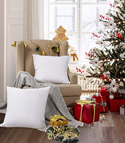 Set of 2 Square Feather Down Decorative Throw Pillows - Halloween & Christmas Customizable Home Decor