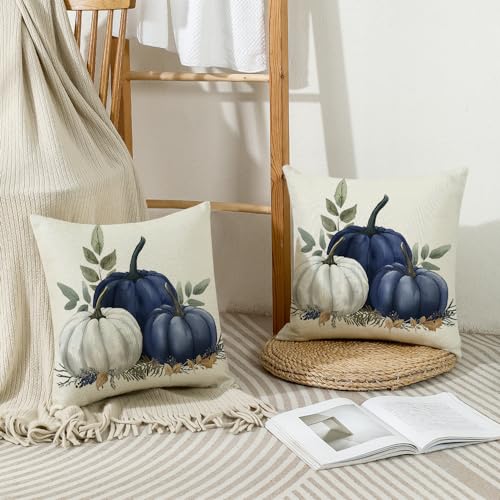 Blue Fall Pumpkin Pillow Covers Set of 2 - 18x18 Inch Autumn Decor