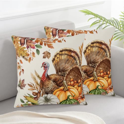 Thanksgiving Fall Turkey Outdoor Decorative Pillow Covers 18x18 Pack of 2 - Double-Sided Print