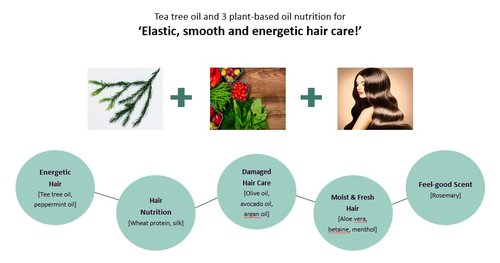 Daeng Gi Meo Ri - Tea Tree Cool Hair Pack, Scalp and Hair Nutrtion Care with Tea tree Oil, Freshness to Oily Scalp, Moisture to Dry Hair, 1000ml