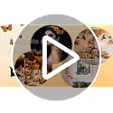 Orange Monarch Butterfly Wall Decor Set - 3D Halloween Butterfly Decorations, 12 Pieces