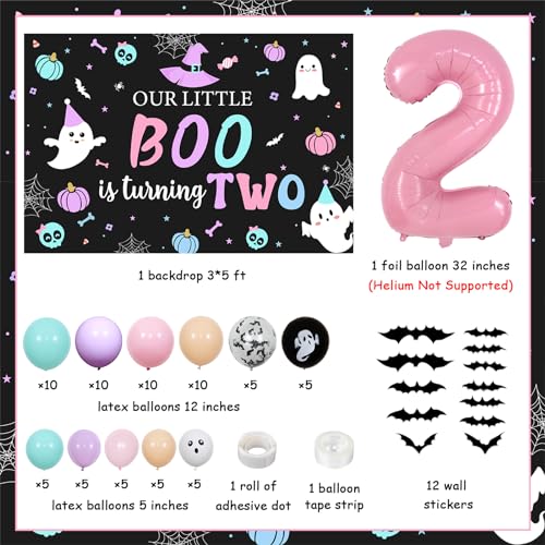 2nd Birthday Decorations for Girl Halloween Balloon Garland Backdrop Bat Stickers