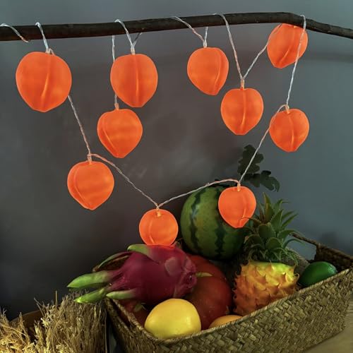 Peach String Lights 1.65M Battery Powered Pink Fairy Lights for Home & Party Decor - Peach-A
