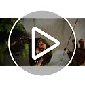 4.4 Ft Impaled Zombie Animatronic - Voice-Activated Halloween Decoration