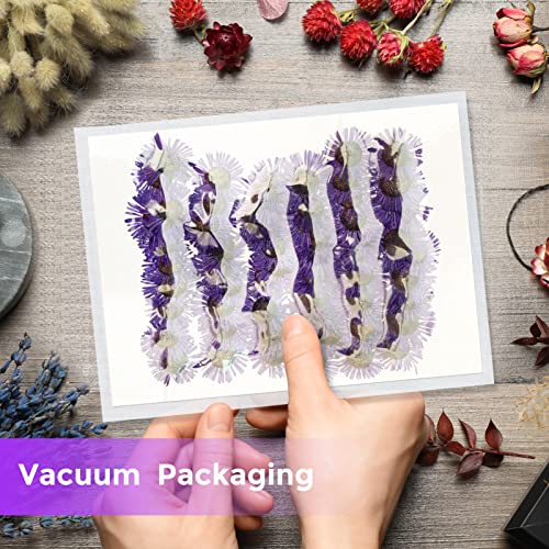 Purple Needle Chrysanthemum Flowers for Resin Jewelry & Craft - 60PCS, Variation: Needle Chrysanthemum-Purple