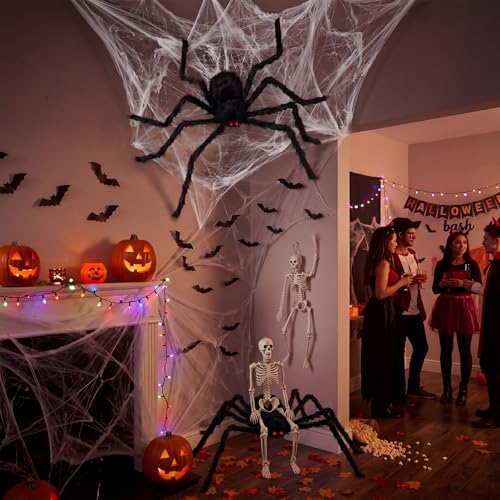 Halloween Spider and Skeleton Decoration Set - Indoor Outdoor Party Props