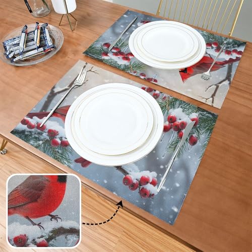 Winter Birds Placemat Set of 6 - Christmas Snow Poinsettia Berry Table Mats - 12x18 Inch, Washable & Fast Dry
