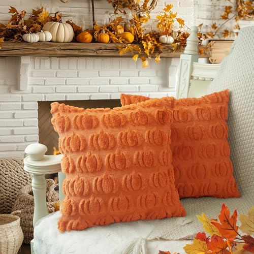 Autumn Pumpkin Faux Fur Pillow Cover Set - 18x18 Inch, Pack of 2, Fall Decor