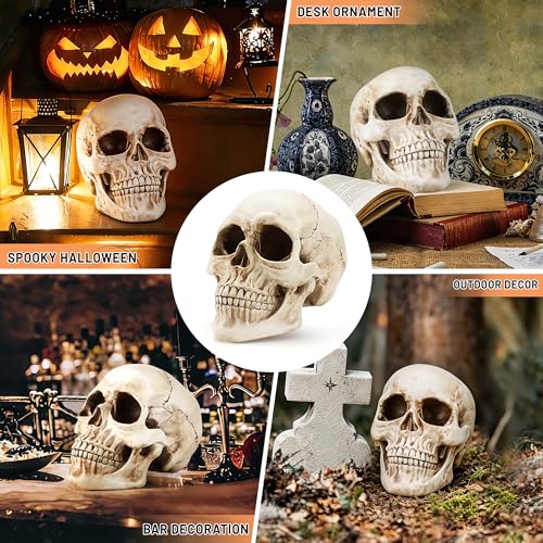 Realistic Resin Skull Decoration for Halloween & Home Decor - Gothic Skeleton Head Statue
