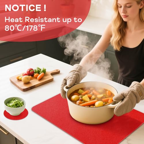 Red Vinyl Placemat Set of 6 Waterproof Heat-Resistant Table Mats for Dining & Kitchen