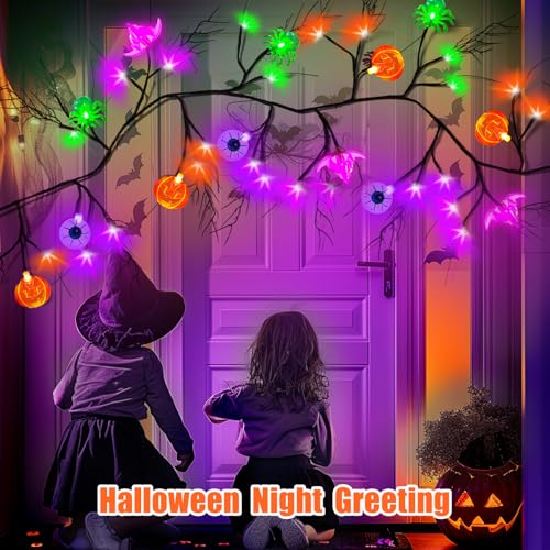 6Ft Halloween LED Willow Twig Garland with Remote Control - Bats, Ghosts, Pumpkins & Eyeballs, 8 Modes Indoor Outdoor Decor