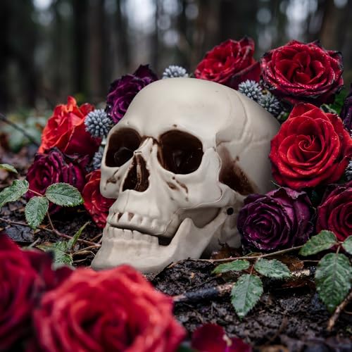 Halloween Human Skull Model - 8.7 Inch Fake Skull Decor Set of 4 - Realistic Plastic Skeletons for Spooky Parties