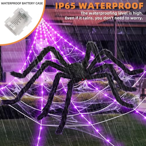 Purple Halloween Spider Web Light Decorations with 59-Inch Giant Spider