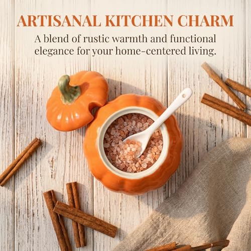 Ceramic Salt Cellar with Lid & Spoon - 10 OZ Orange Salt Box for Countertop