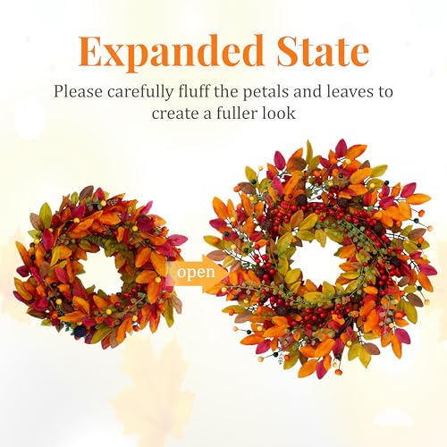 22 Inch Fall Berry Wreath for Front Door Outdoor Decor with Red Berries
