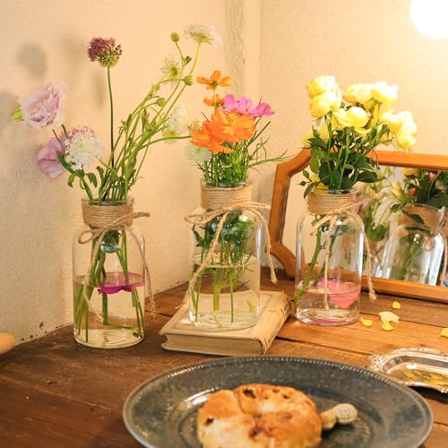 Set of 12 Clear Glass Vases with Twine Ties for Wedding & Home Decor