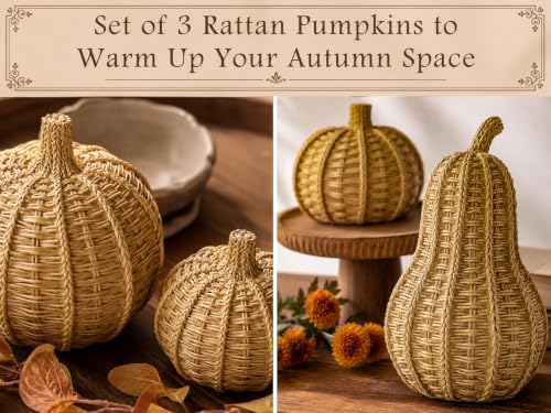 3-Piece Wicker Pumpkin Set for Fall Decor - Rustic Autumn Decoration