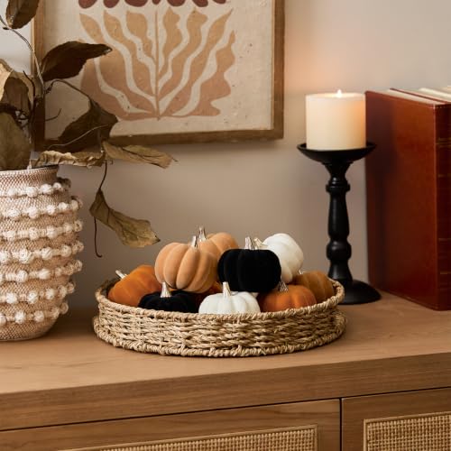 Mini Fall Pumpkin Decor Set of 12 - Velvet Pumpkins in Orange, Black, Khaki & White with Silver Stems