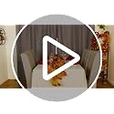 41.3 Ft Fall Leaf Garland with Lights, Autumn Maple Vines for Thanksgiving & Wedding Decor