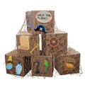 Pirate Party Decorations Set with Treasure Boxes, Net, Photo Props for Halloween & Adventure Events