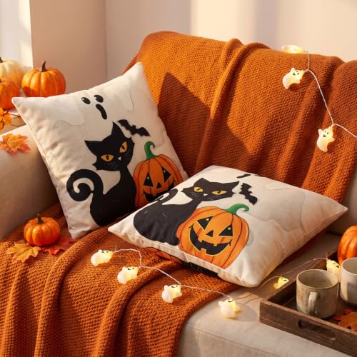 Halloween Black Cat Throw Pillow Cover 18x18 with Ghost - Pack of 2