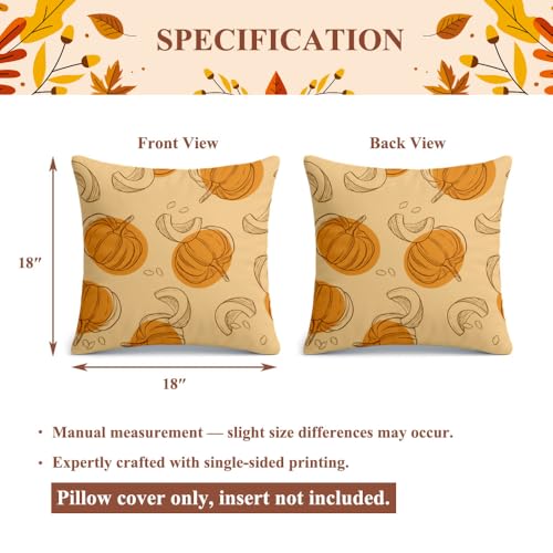 Fall Pumpkin Pillow Cover 18x18 - Orange Farmhouse Decor, 2-Pack, Variation Fall-10