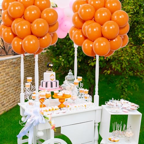 Orange Latex Balloon Set - 50 Helium-Quality 12-Inch Balloons with Ribbon & Glue - Variation: Orange