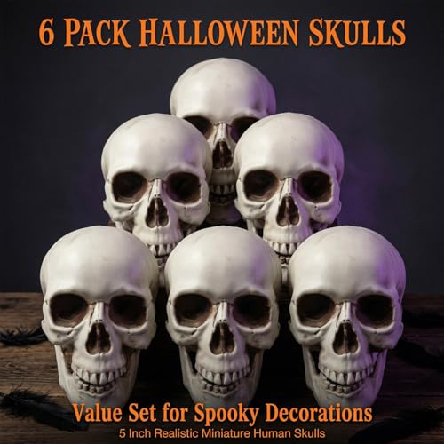White Mini Skull Decorations - 6 Pack 5 Inch Plastic Skeleton Heads for Halloween Crafts & Outdoor Decor