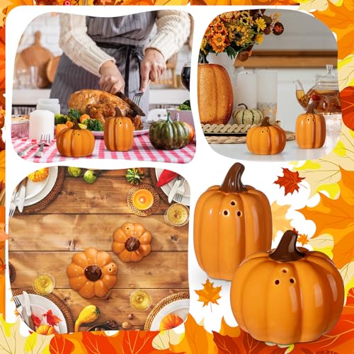 Fall Pumpkin Salt and Pepper Shakers - Orange Ceramic Set for Harvest Decor
