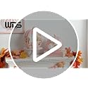 Pink Halloween Pumpkin Decor Set with Ghost and Bat - Fall & Spooky Table Centerpieces - WDS WONDROUS