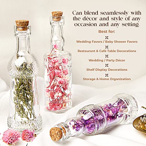 Mini Glass Bottles with Corks 12-Pack Assorted Shapes for Crafts and Decor