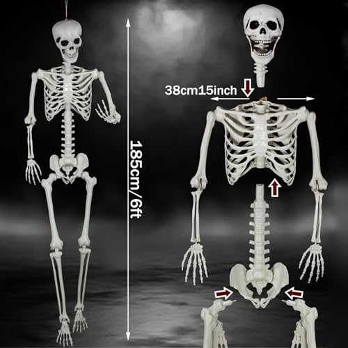 Life Size Halloween Skeleton 5.9Ft with Posable Joints Indoor Outdoor Decoration - 180cm