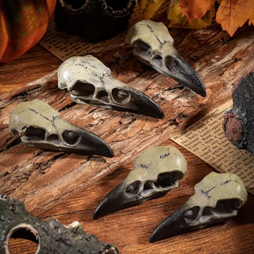 3 Pack Gothic Raven Skull Necklaces Halloween Skull Pendant Jewelry