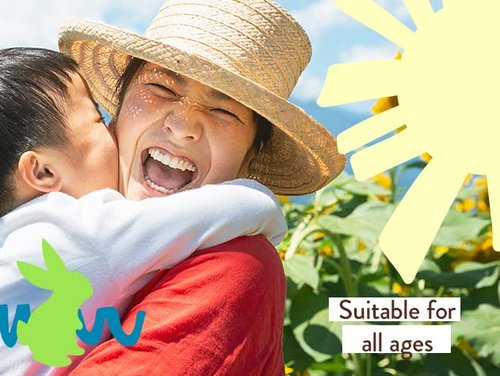 Babo Botanicals Daily Sheer Mineral Sunscreen Fluid SPF50 - Natural Zinc Oxide - Passion Fruit Oil - Fragrance Free - Ultra-Lightweight - For Face - For all ages