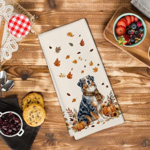 Australian Shepherd Dog Gifts Fall Decor Kitchen Hand Towels 16x24