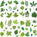 Green Leaf Wall Stickers for Windows - Self-Adhesive Vinyl Decals, Waterproof, 8 Sheets - Leaf-210
