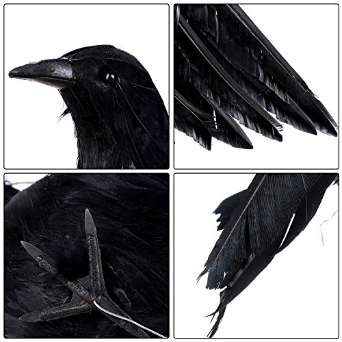Realistic Feathered Black Crow Decorations Set for Halloween & Autumn