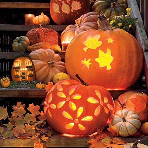 Elmchee White Pumpkin Carving Tools Set 13-Piece Professional Stainless Steel Kit with Handlebag