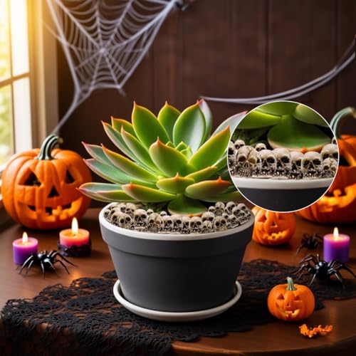 Halloween Mini Skull Set - 40 Realistic Resin Skeleton Heads for Decor