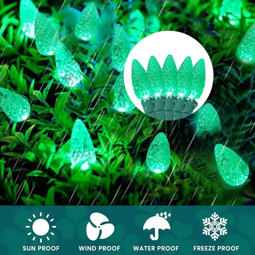Green C6 LED Christmas Lights Outdoor - Festia 70 Bulb String, Waterproof & Connectable - St. Patrick's Day Decoration