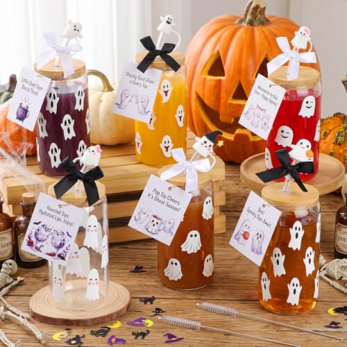 Halloween Ghost Glass Cups 16 oz Set with Lid Straw & Stopper - 6 Styles