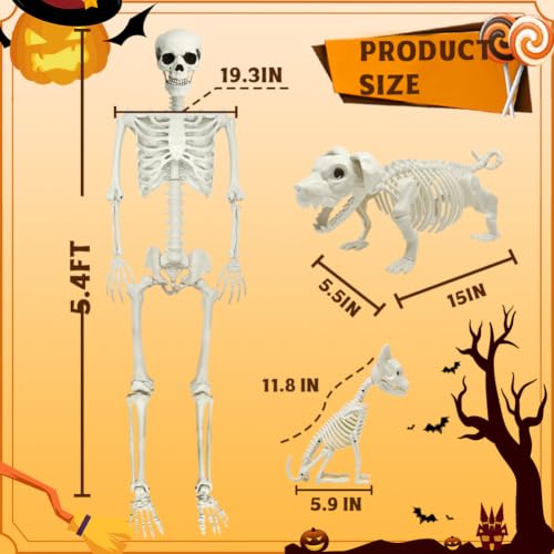 5.4ft Halloween Full Size Skeleton with Dog and Cat — Haunted Party Decor